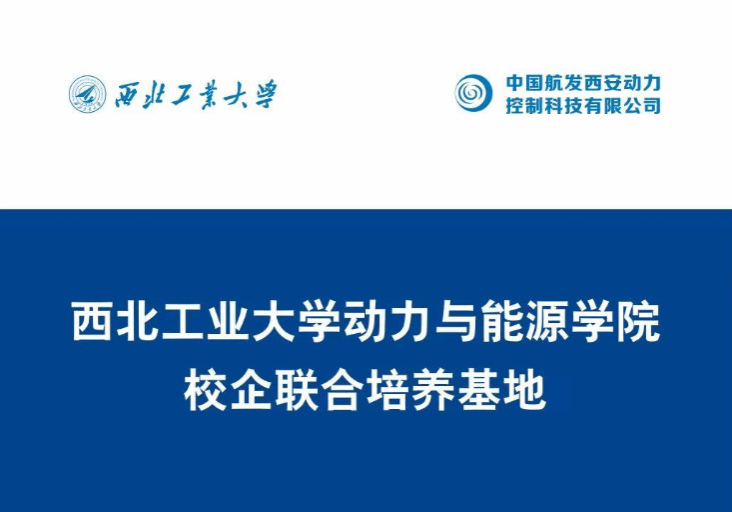 网上赌场