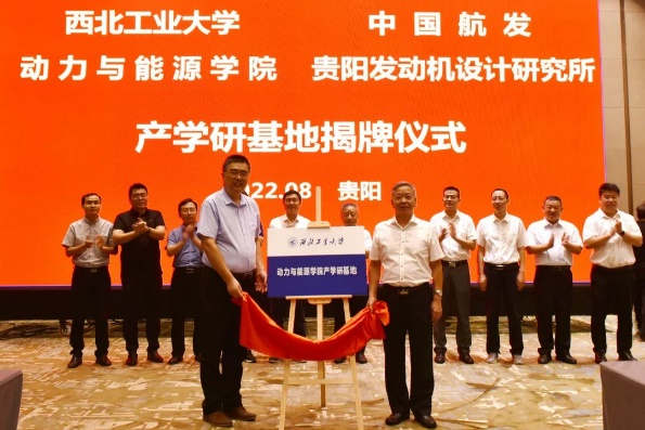 网上赌场